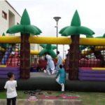 Jungle Bouncy On Rent In Delhi